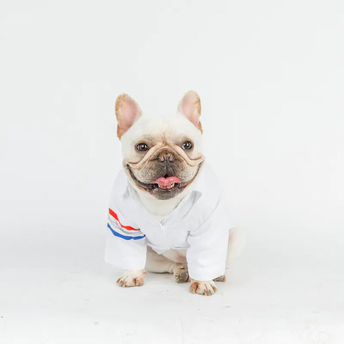 Fur Fabulous Dog Tee