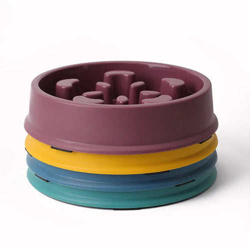 Paws & Dine Slow Feeder Bowl