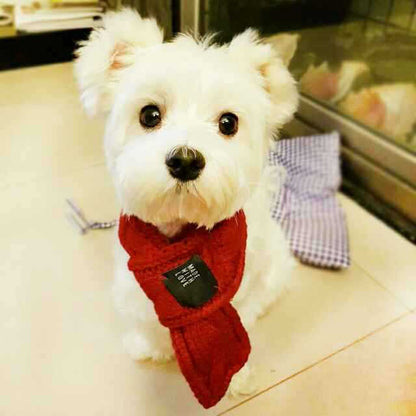 Snuggle Scarf - small pups