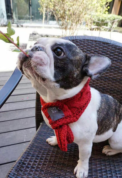 Snuggle Scarf - small pups