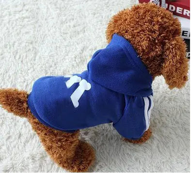 Give Your (small) Dog a Bone Hoodie