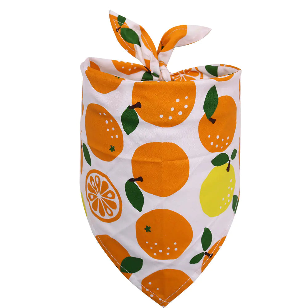 Fruit Dog Bandana