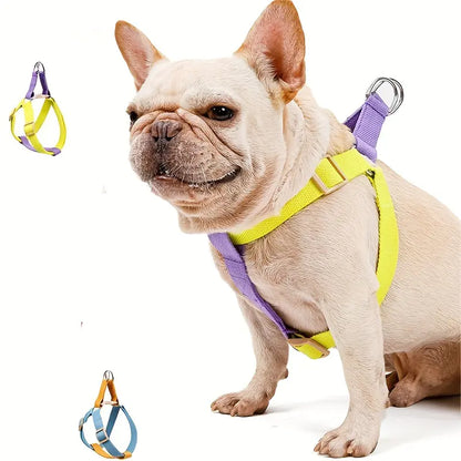 Rainbow Colorblock Anti-Escape Dog Harness and Leash Set