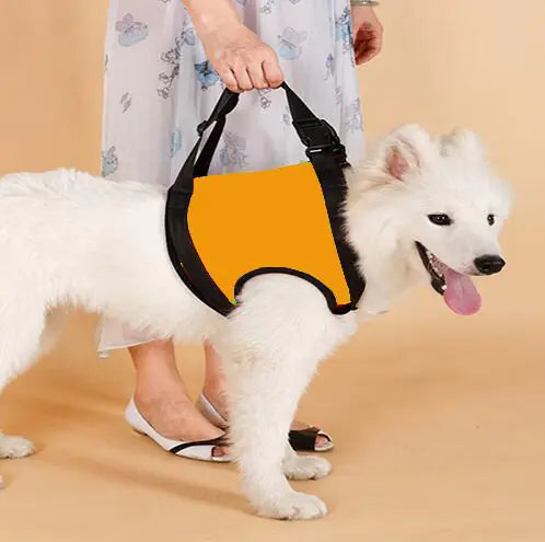 Dog Assist Slings