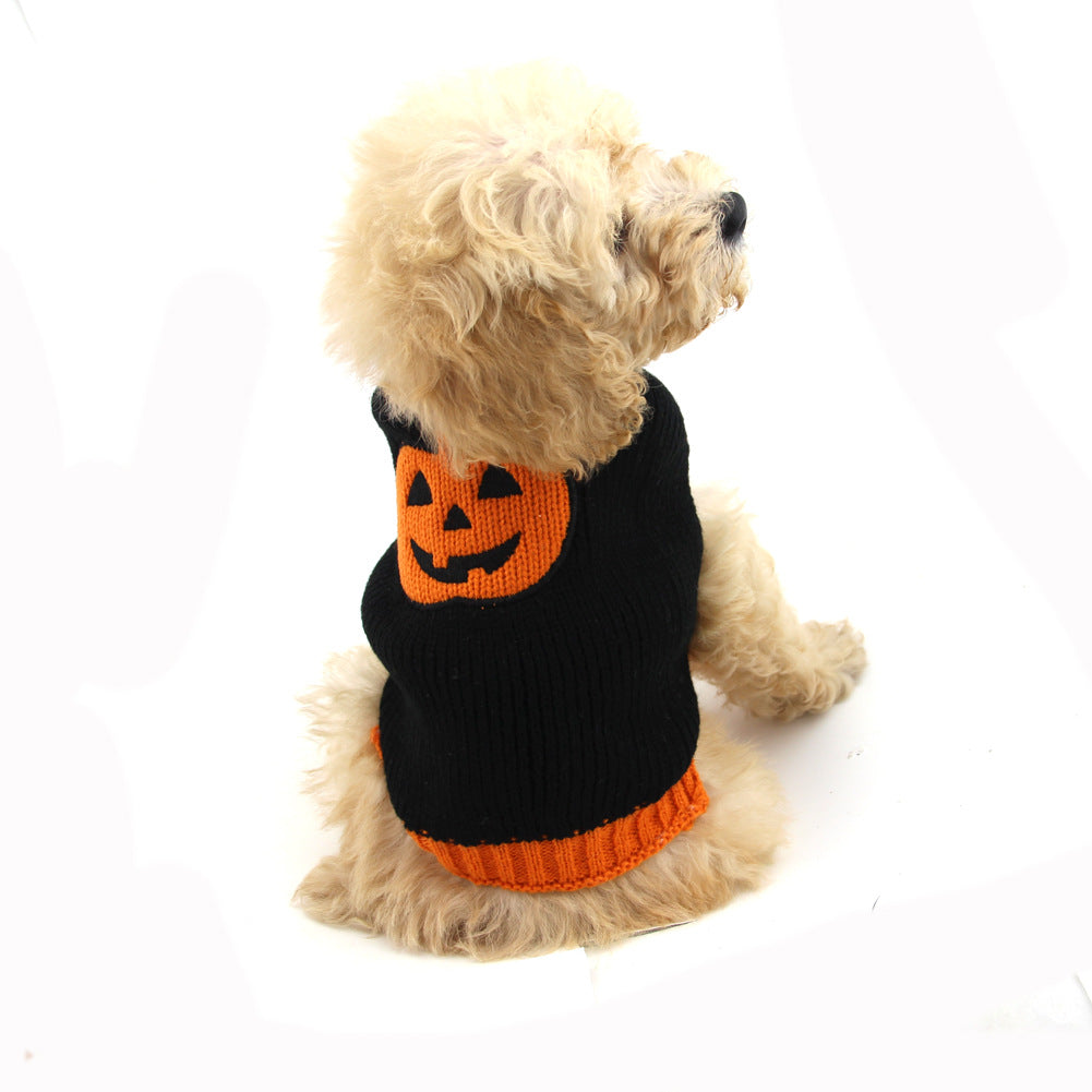 Cozy Pumpkin Knit Sweater