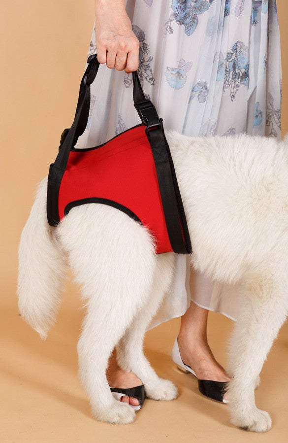 Dog Assist Slings