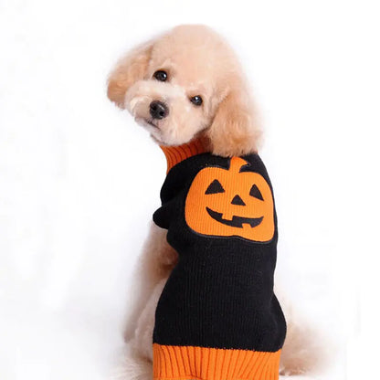 Cozy Pumpkin Knit Sweater