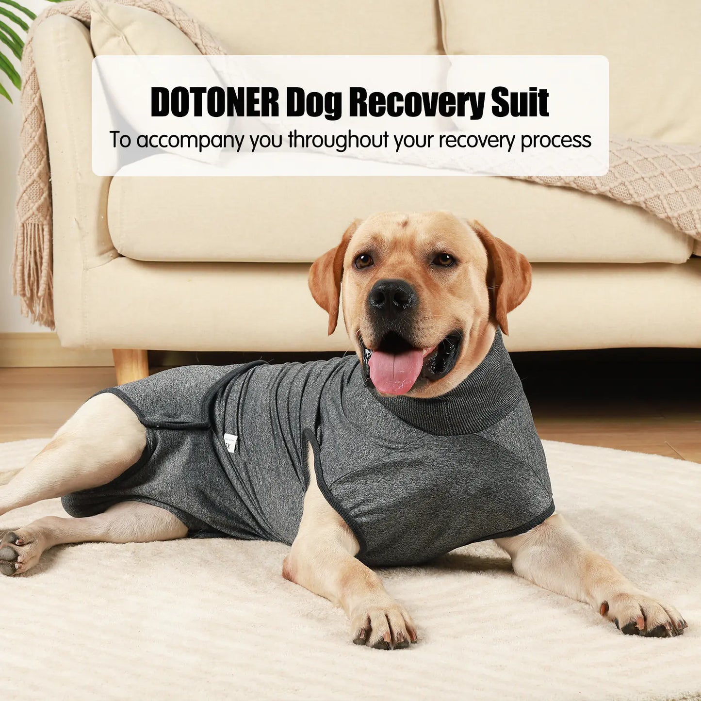 Surgical Recovery Suit