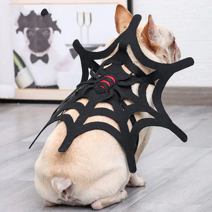 Spider Web Costume