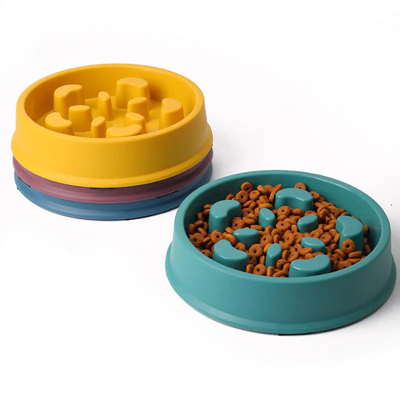 Paws & Dine Slow Feeder Bowl