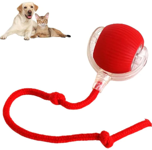 SpinTail Pet Ball