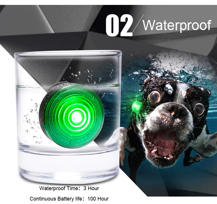 LED Dog Collar Light