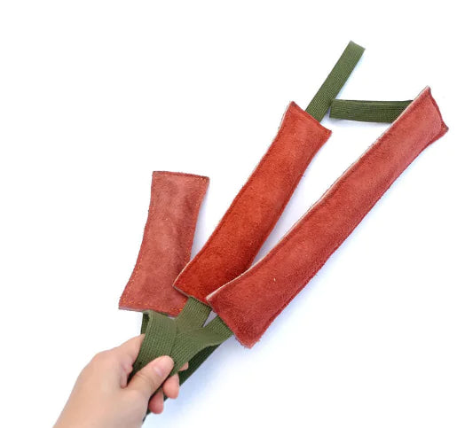 Fetch & Learn Cowhide Stick