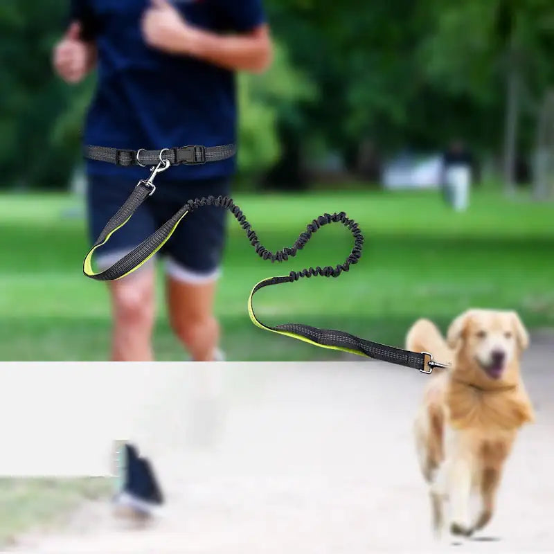 PacePro Walking Belt