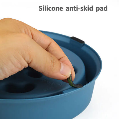 Paws & Dine Slow Feeder Bowl