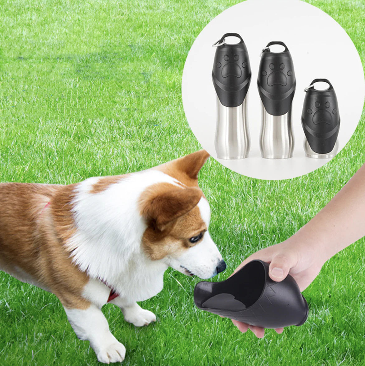 Portable Pet Water Bottle