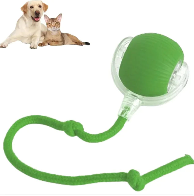 SpinTail Pet Ball