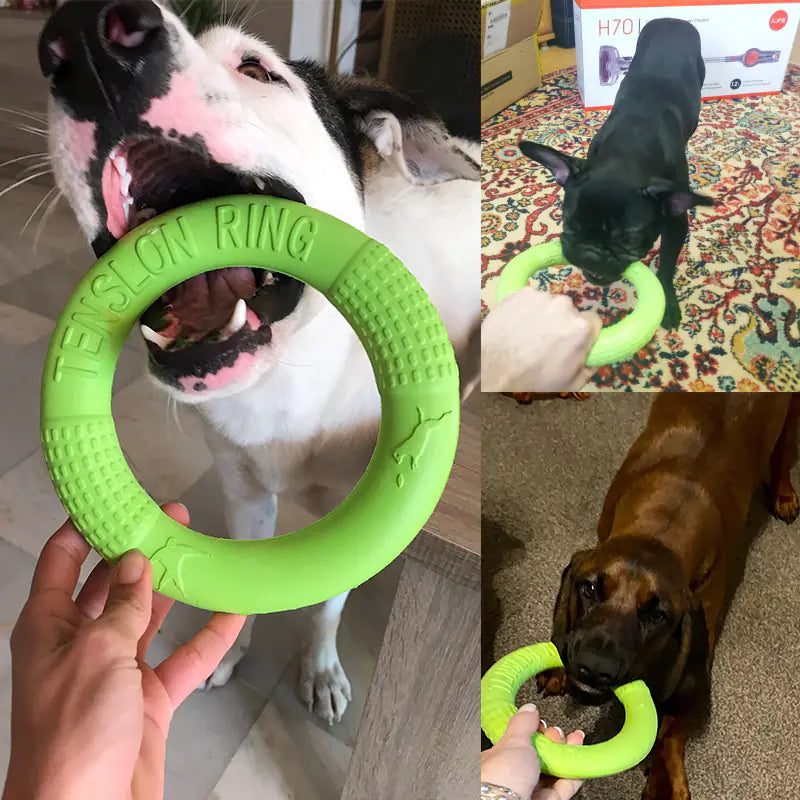 Tug Circle Chew Loop