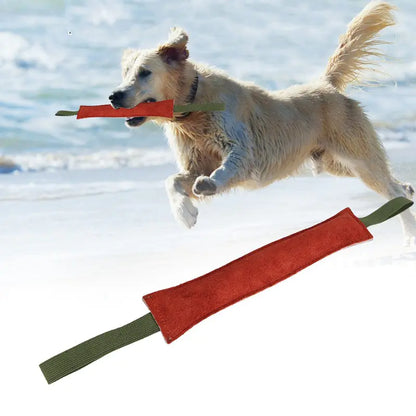 Fetch & Learn Cowhide Stick