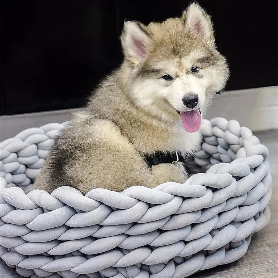 Dream Dog Nest - small pups