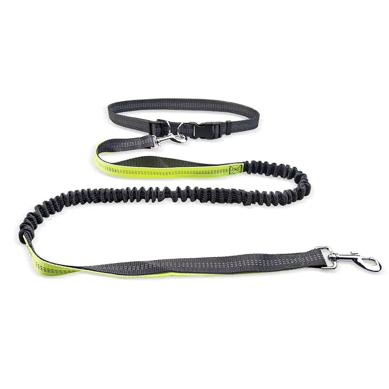 PacePro Walking Belt