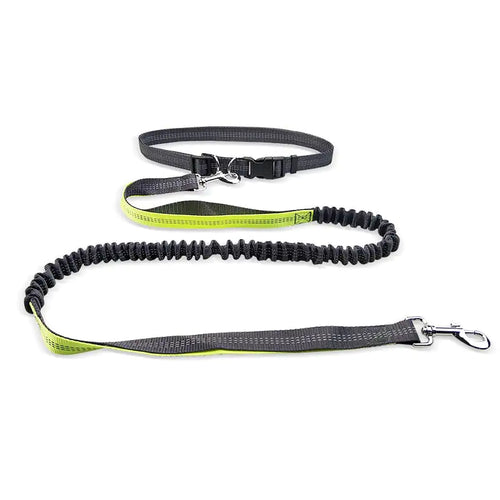 PacePro Walking Belt