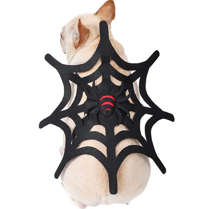 Spider Web Costume