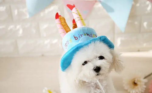 Birthday Cake Hat