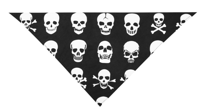Skull and Bones Bandana