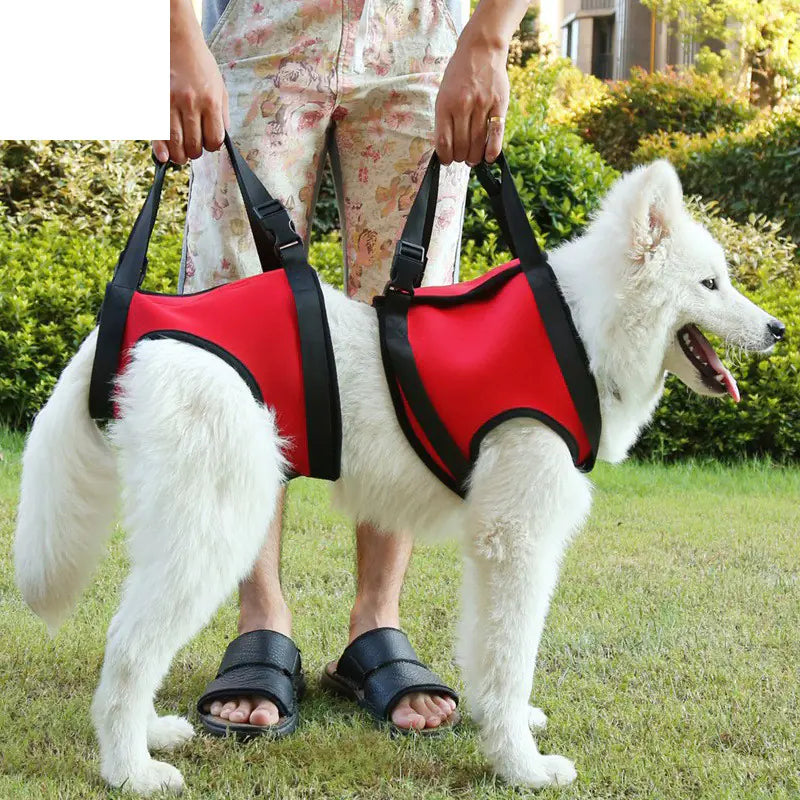 Dog Assist Slings