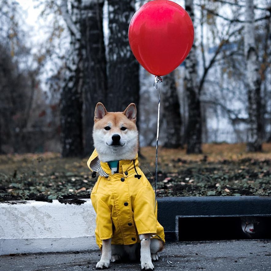 Retro Insulated Raincoat