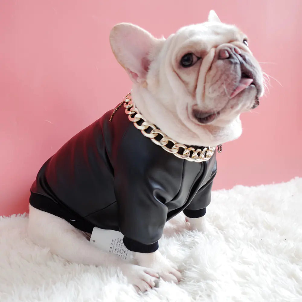 Rebel Pup Jacket