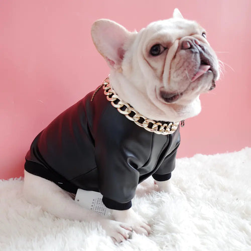 Rebel Pup Jacket