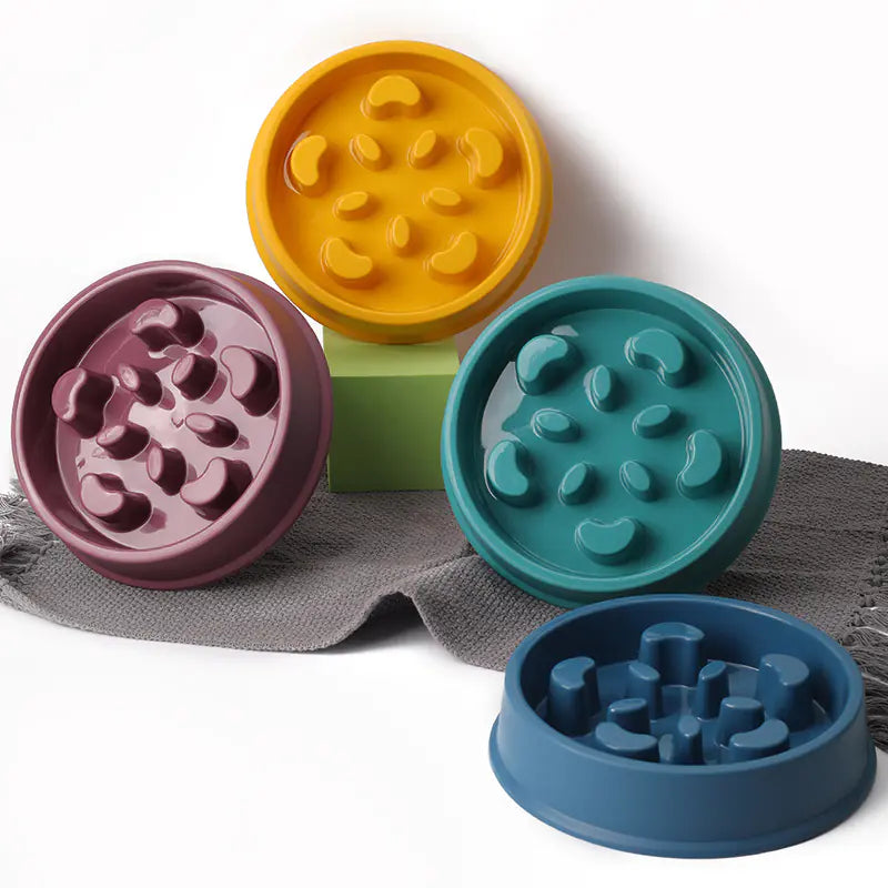Paws & Dine Slow Feeder Bowl