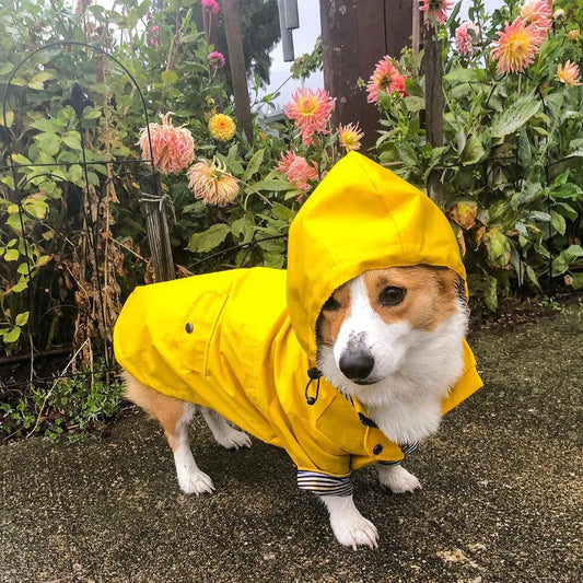 Retro Insulated Raincoat