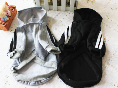 Give Your (small) Dog a Bone Hoodie