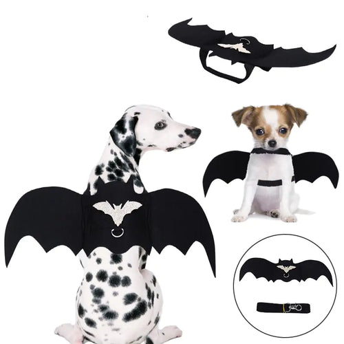 Spooky Pup Bat Wings