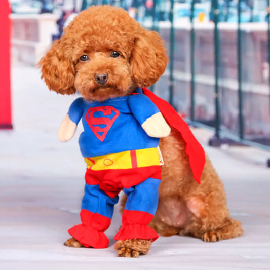 SuperPup Cape
