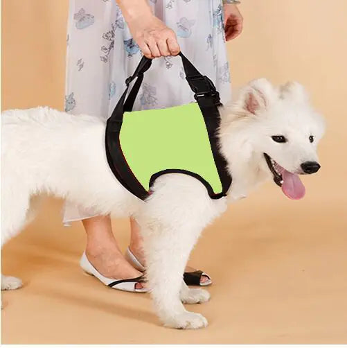 Dog Assist Slings