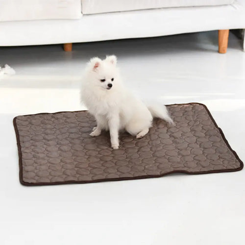 Chill Out Ice Silk Mat