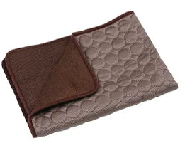 Chill Out Ice Silk Mat