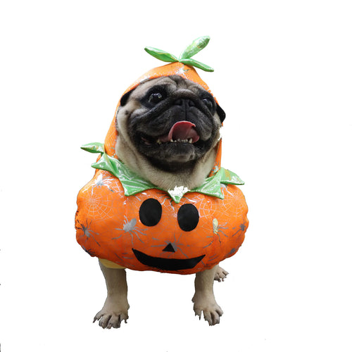 Jack-o-Pup Costume
